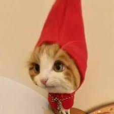 ทริสตอง โด avatar